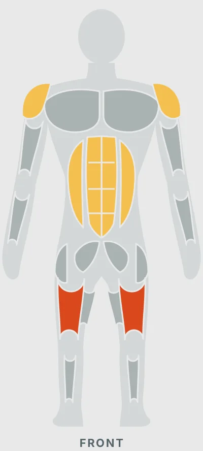 1.5 Rep Bodyweight Squats: muscles worked, front view