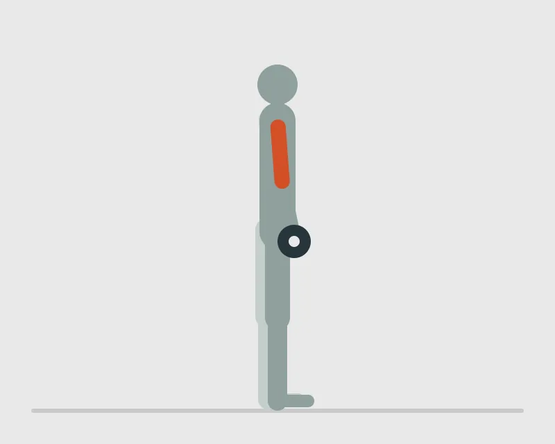 Alternating Dumbbell Curl, start position