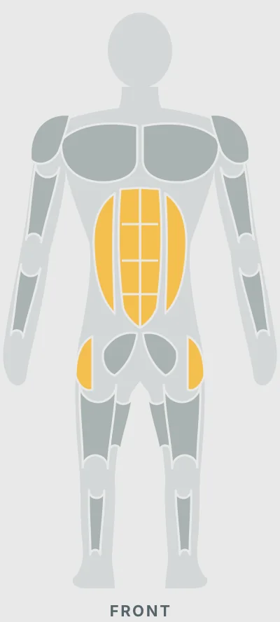Banded Glute Bridge: muscles worked, front view