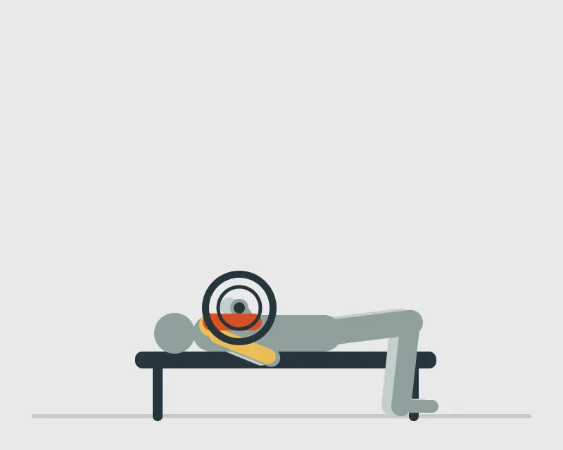 Barbell Bench Press, end position