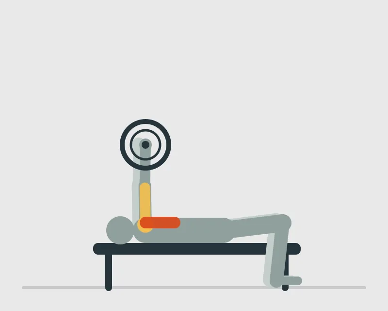 Barbell Bench Press, start position
