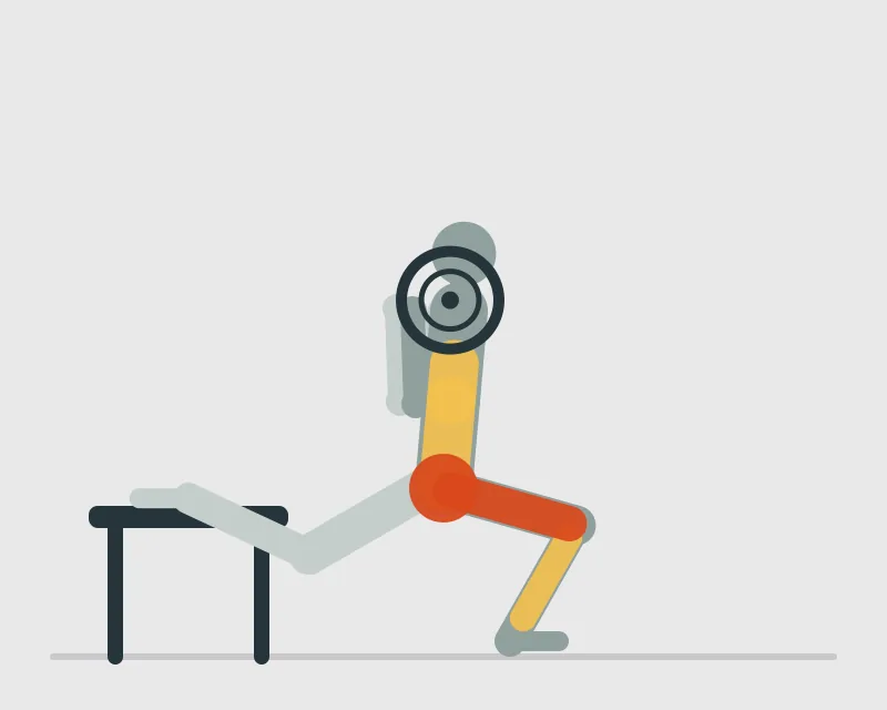 Barbell Bulgarian Split Squat, end position