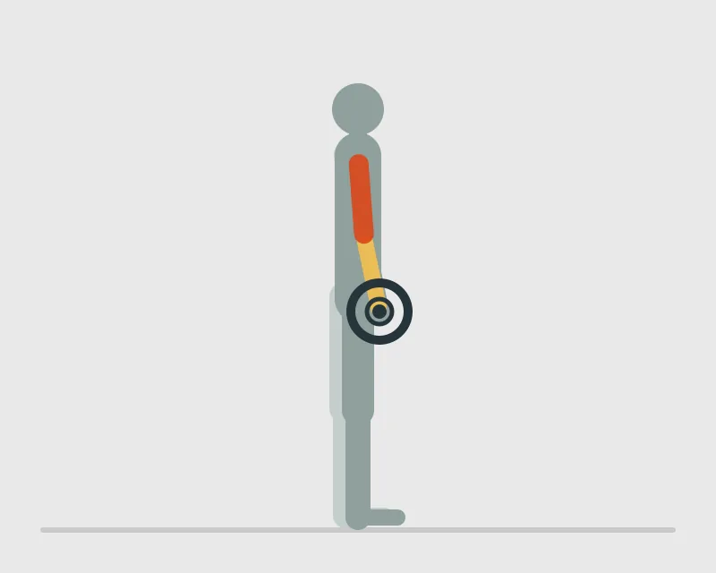 Barbell Curl, start position