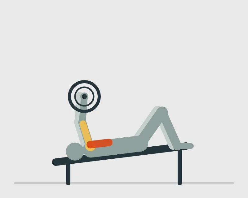 Barbell Declined Bench Press, start position