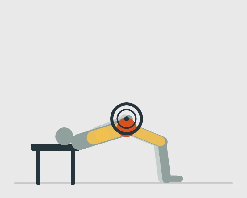 Barbell Hip Thrust, end position