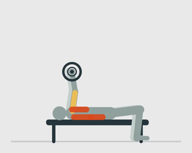 Barbell Pullover, end position
