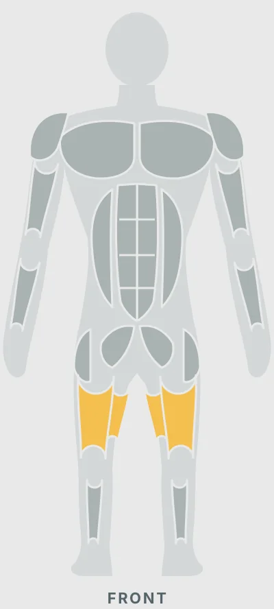 Barbell Sumo Deadlift: muscles worked, front view