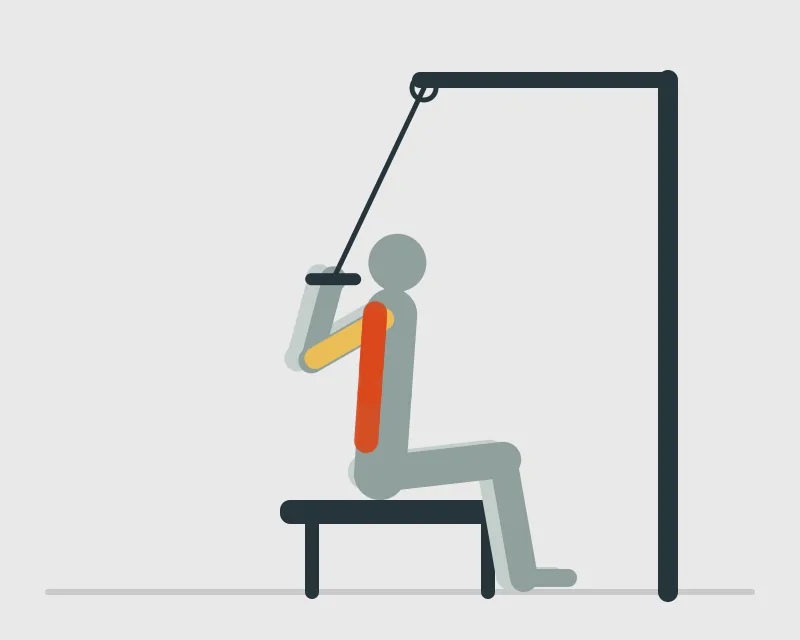 Behind-Neck Pulldown, end position