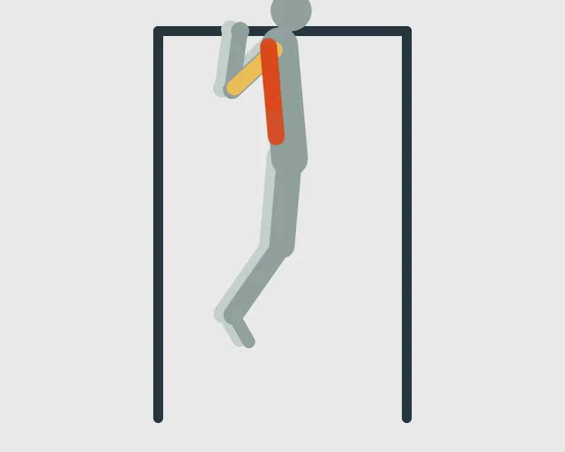 Behind the Neck Pull Up, end position