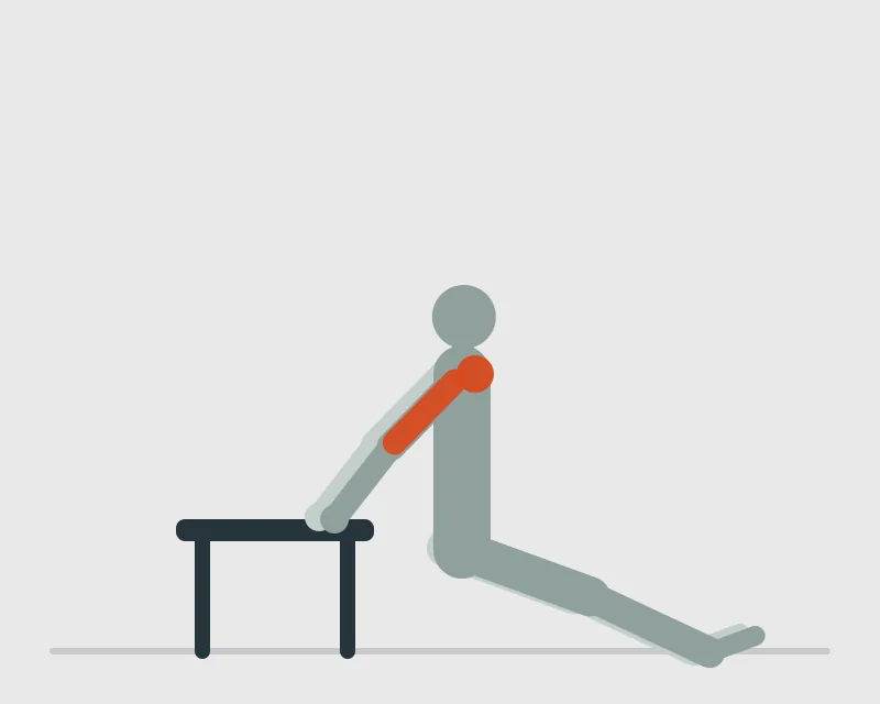 Bench Dips, start position