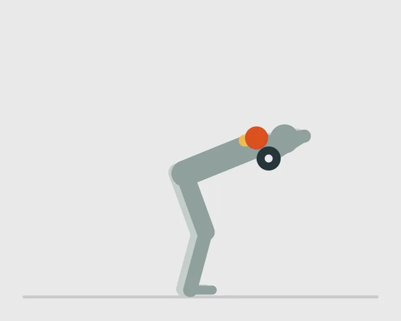 Bent-Over Lateral Raise, end position