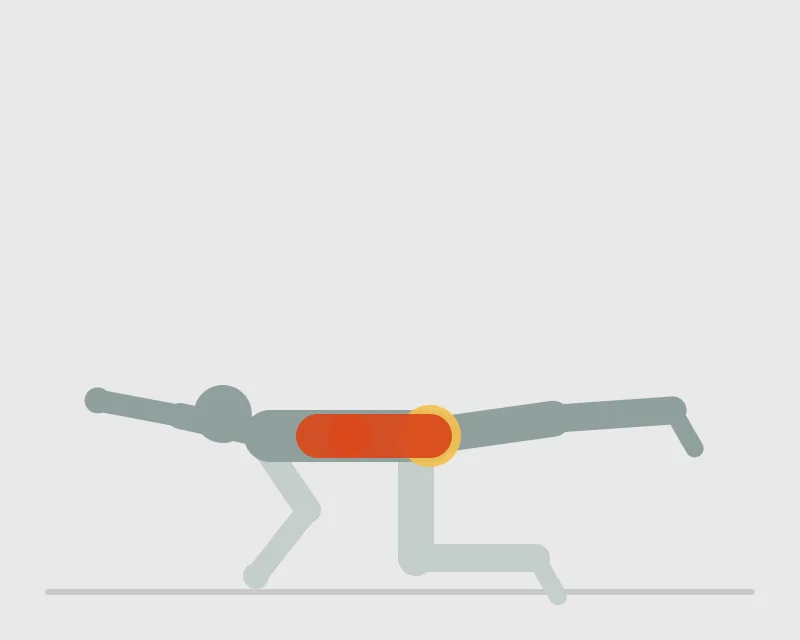 Bird Dog, end position