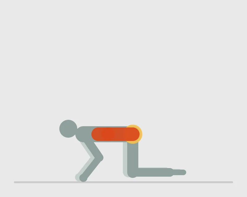 Bird Dog, start position