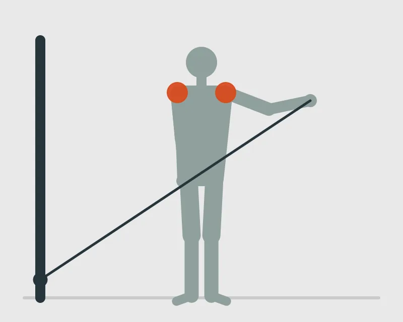 Cable One-Arm Lateral Raise, end position
