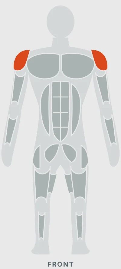 Cable One-Arm Lateral Raise: muscles worked, front view
