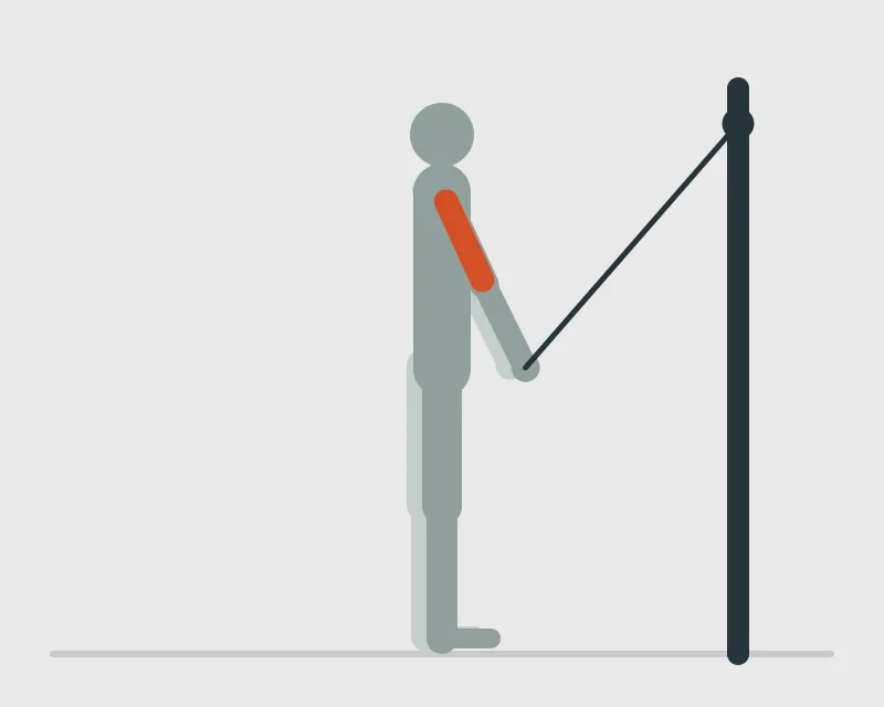 Cable Rope Pushdown, end position
