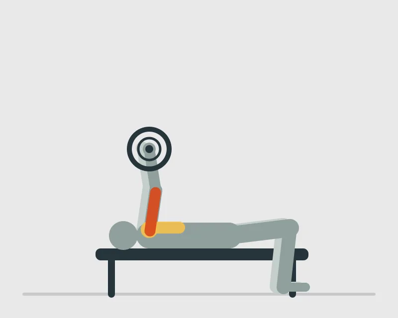 Close Grip Bench Press, start position