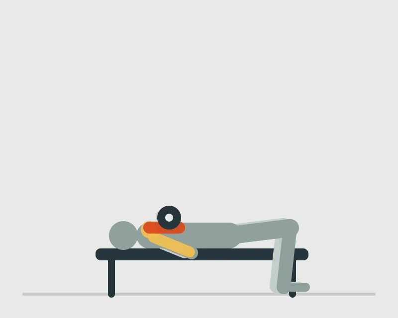 Dumbbell Bench Press, end position