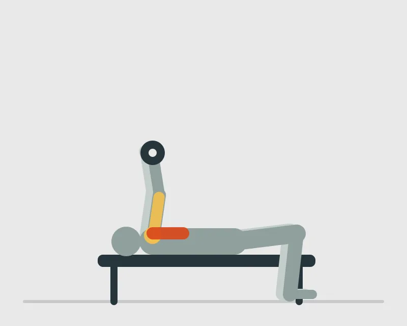 Dumbbell Bench Press, start position