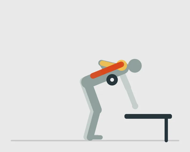 Dumbbell Bent-Over Row (Single Arm), end position
