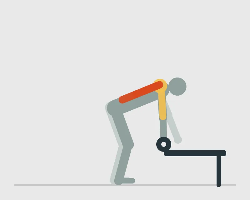Dumbbell Bent-Over Row (Single Arm), start position