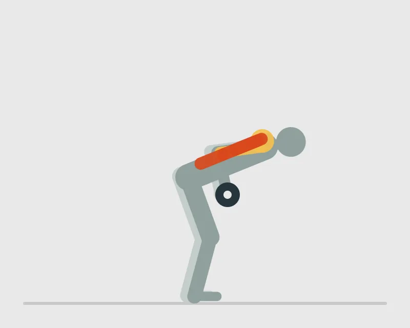 Dumbbell Bent Over Rows, end position