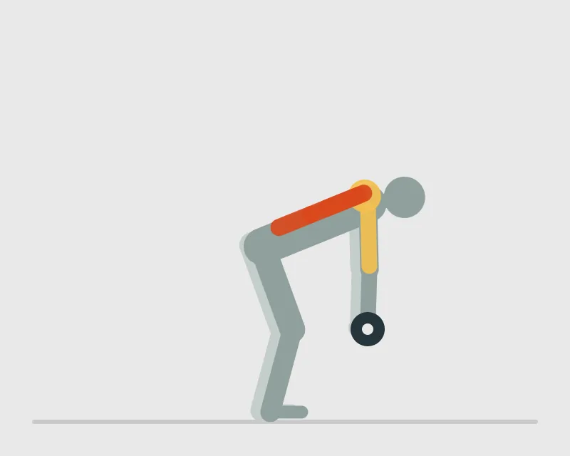 Dumbbell Bent Over Rows, start position