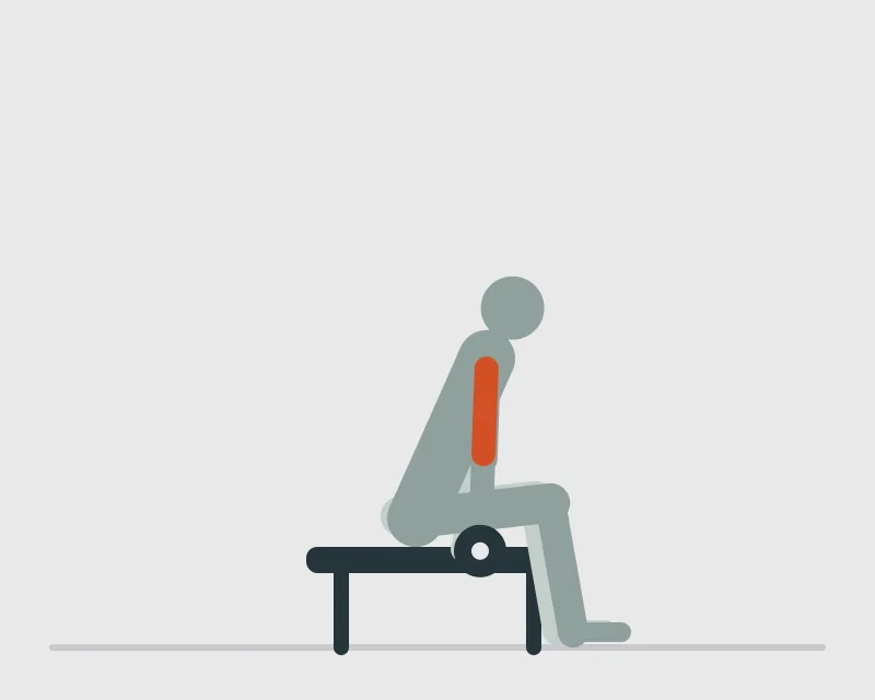 Dumbbell Concentration Curl, start position