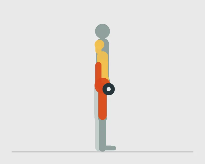 Dumbbell Deadlift, end position