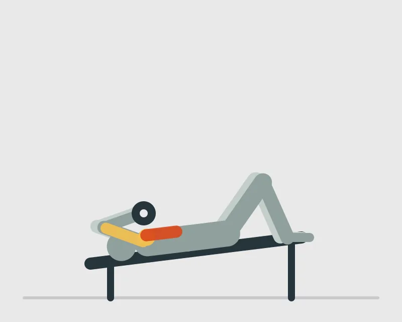 Dumbbell Declined Bench Press, end position