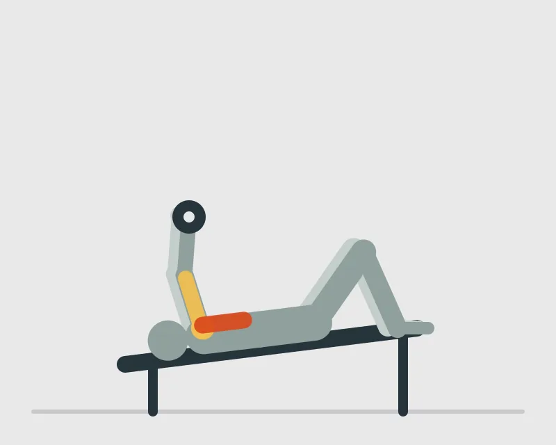 Dumbbell Declined Bench Press, start position