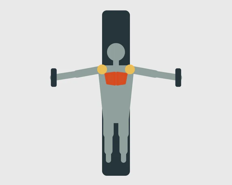 Dumbbell Fly, end position