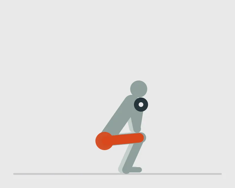 Dumbbell Goblet Squat, end position