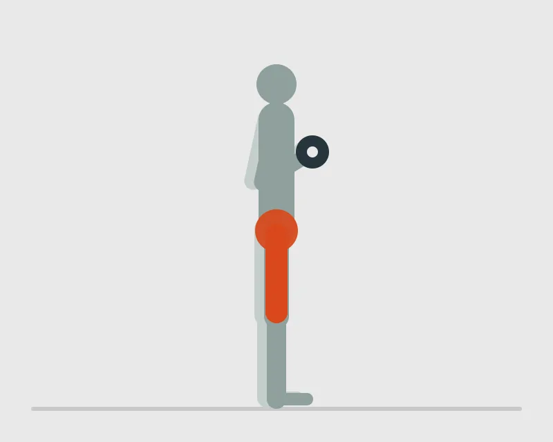 Dumbbell Goblet Squat, start position