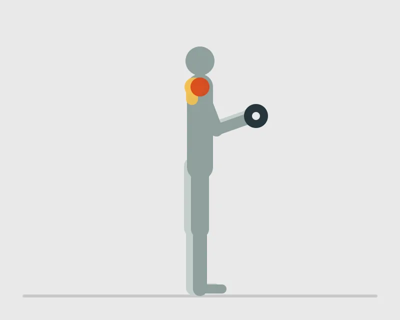 Dumbbell Lateral Raise, end position