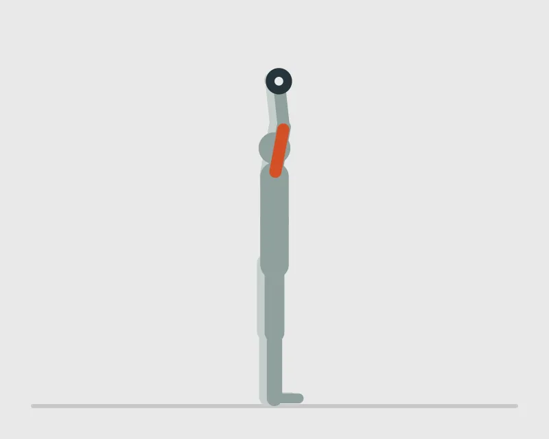 Dumbbell Overhead Triceps Extension, end position