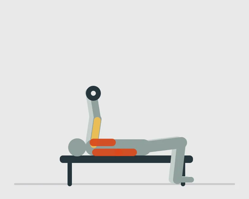 Dumbbell Pullover, end position