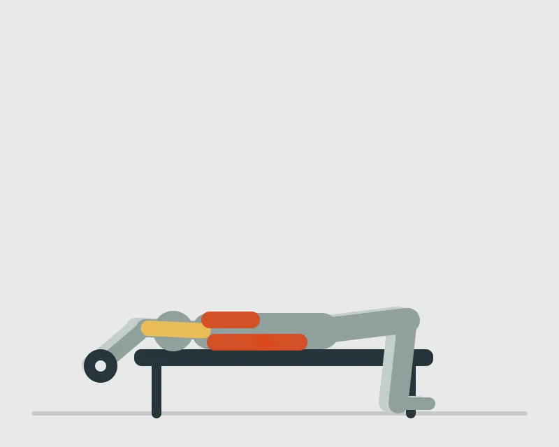 Dumbbell Pullover, start position
