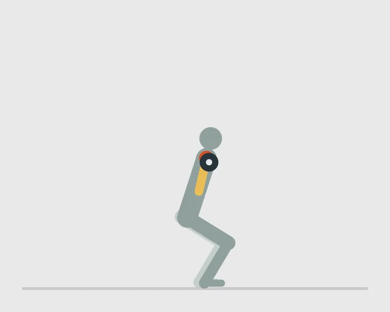 Dumbbell Push Press, start position