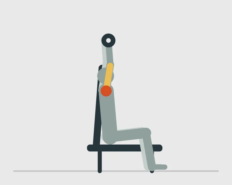 Dumbbell Shoulder Press, end position