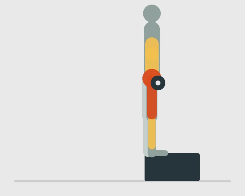 Dumbbell Step Up, end position