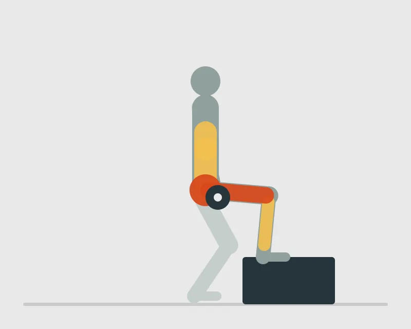 Dumbbell Step Up, start position