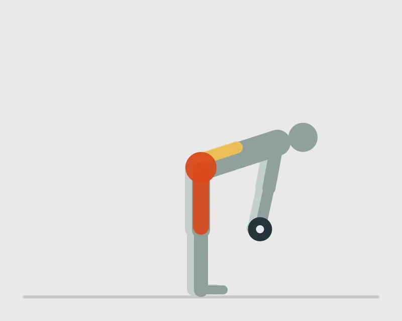 Dumbbell Stiff-Leg Deadlift, end position