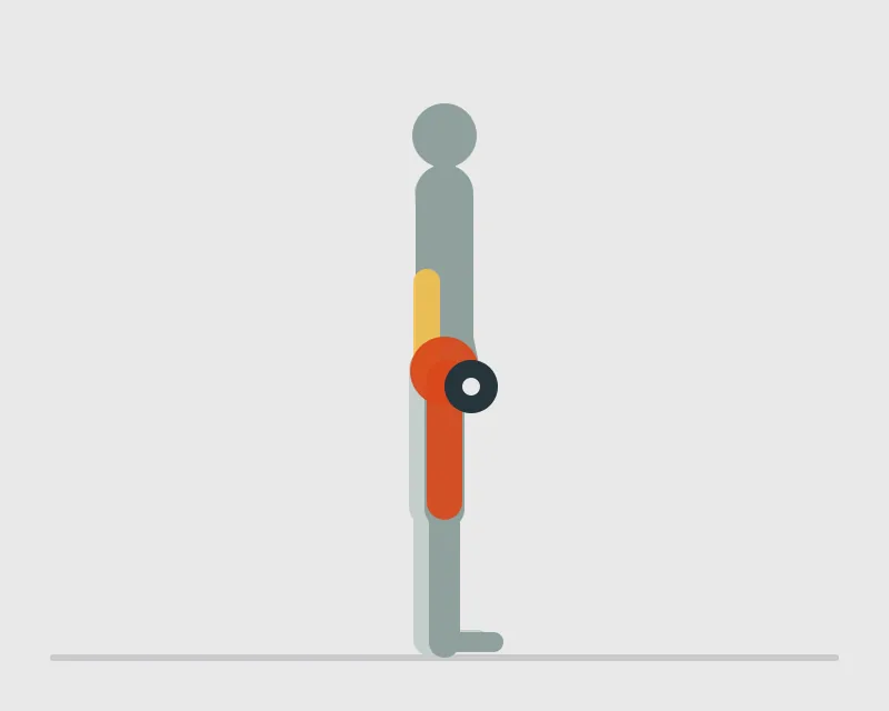 Dumbbell Stiff-Leg Deadlift, start position