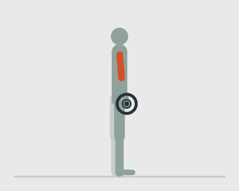 EZ Barbell Curl, start position