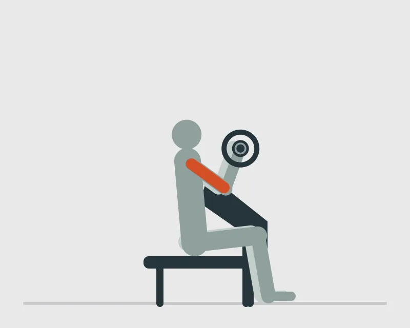 EZ Barbell Preacher Curl, end position
