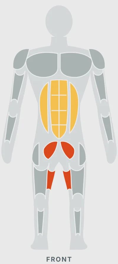 Groiners: muscles worked, front view