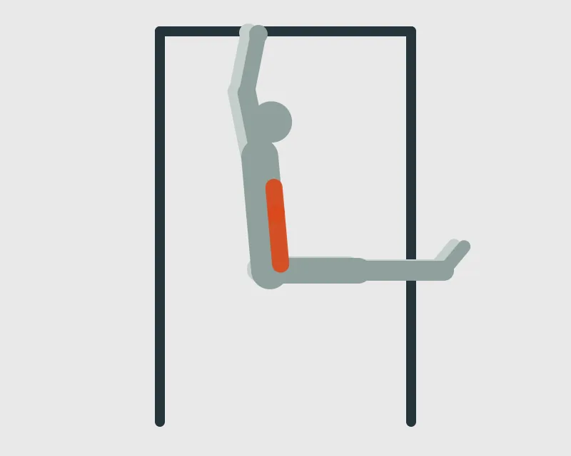 Hanging Leg Raise, end position