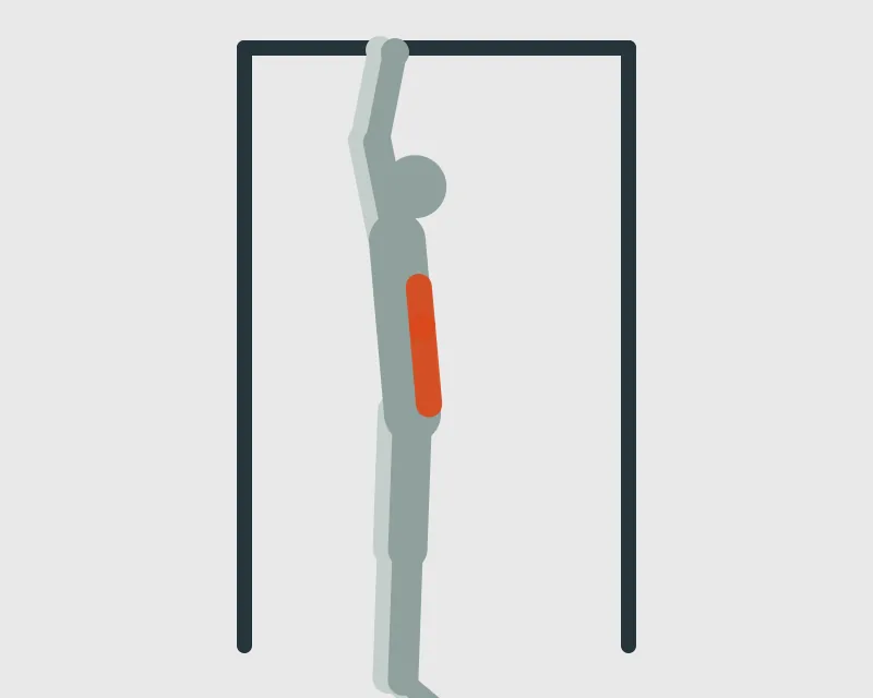 Hanging Leg Raise, start position