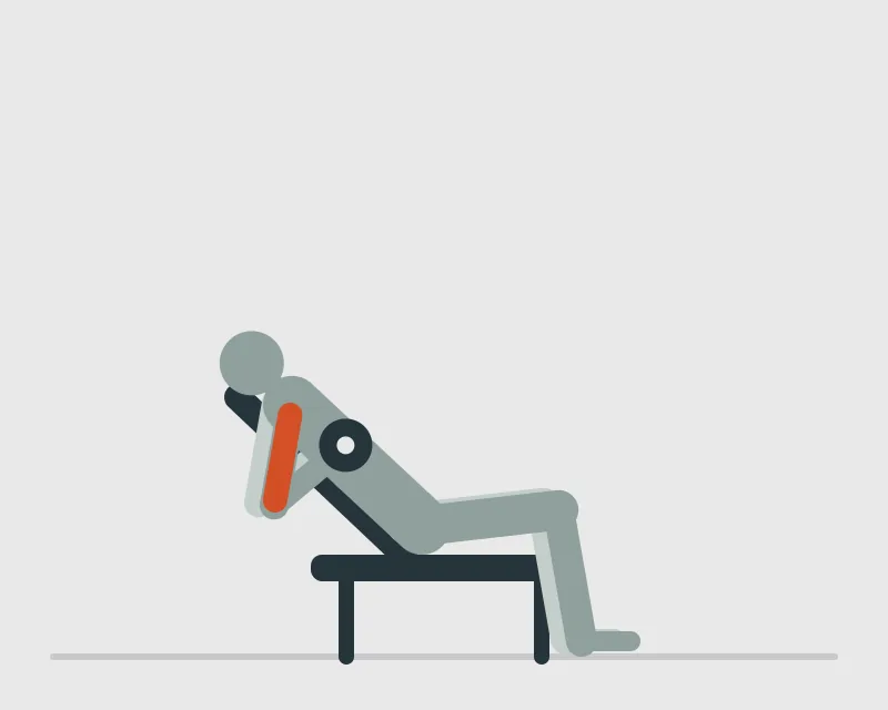 Incline Dumbbell Curl, end position